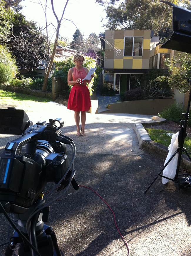 colour and the renovators