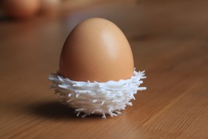 Nest Eggholder LR